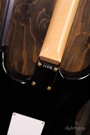 Fender American Professional II Lake Placid Blue Limited Edition Palisanderhals