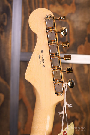 Fender American Professional II Lake Placid Blue Limited Edition Palisanderhals