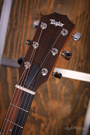 Taylor 24ce