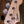 Squier Sonic Precision Bass Midnight Blue