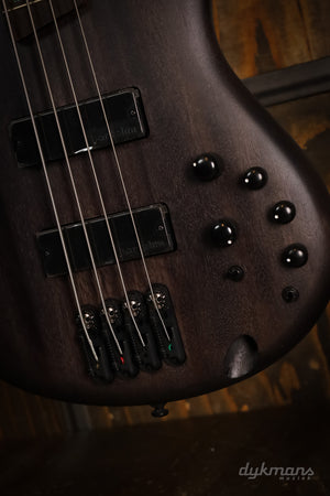 Ibanez SR500ATGF LTD Edition Transparent Gray Flat
