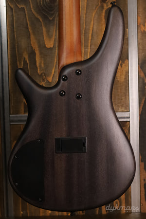 Ibanez SR500ATGF LTD Edition Transparent Gray Flat