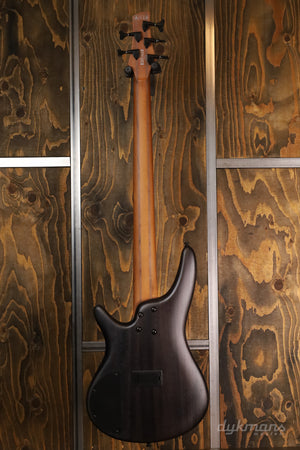 Ibanez SR505ATGF LTD Edition Transparent Gray Flat