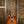 Gibson Les Paul Classic Premium Plus 1995
