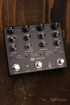 Walrus Audio Qi Etherealizer (Schwarz)