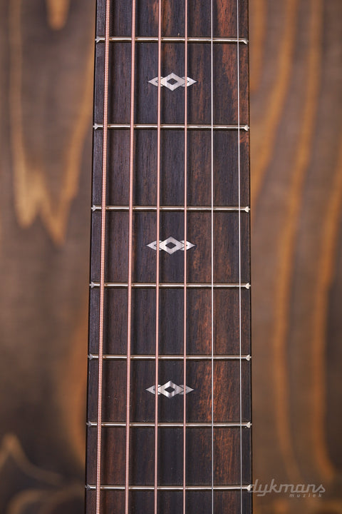 Taylor 50th Anniversary GS Mini-e Rosewood LTD