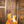 Gibson Les Paul Standard '50s Honey Amber