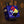 Fortin Amplification N2O Micro Boost