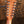 Taylor 354ce Studio Special Edition Honeyburst