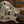 PRS Hollowbody II Piezo Platin