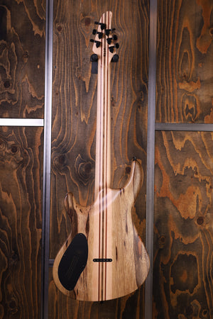 Mayones Regius 6 Core  Curly Poplar 4A