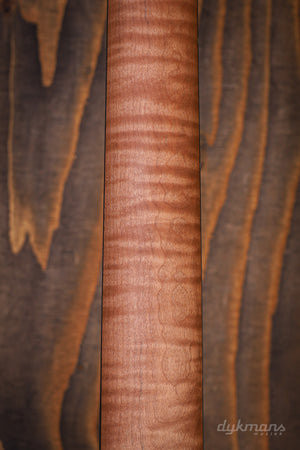 Music Man Sabre Rabea Massaad Carian Burst