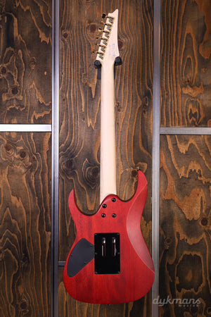 Ibanez RGR420FMSPTGF