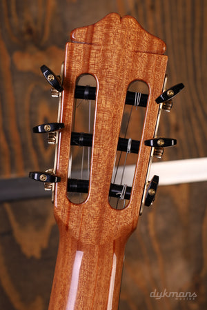 Bautista Iranzo 40 Konzert