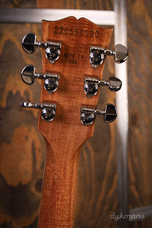 Gibson Les Paul Standard 60s Double Trouble Vintage Tobacco Burst