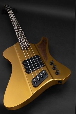 Dingwall Custom Shop D-Roc 4-Saiter Ari Gold VORBESTELLUNG!