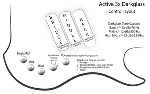 Dingwall Custom Shop Z3X-5 Buckeye Burl Schwarz zu Pink Reverse Burst