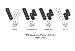 Dingwall SP1 Ducati Perlweiß