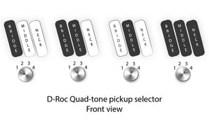Dingwall D-Roc Standard 4 Black Matte