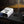 Two Notes Torpedo Captor X Plus 16