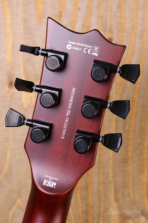 LTD Deluxe EC-1001 Tigerauge