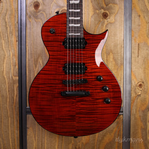 LTD Deluxe EC-1001 Tigerauge