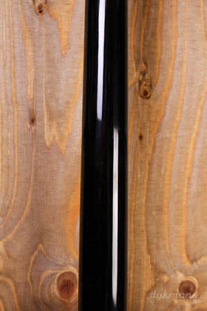 Gibson SG Special Ebenholz