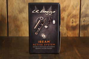 LR Baggs iBeam Aktivsystem