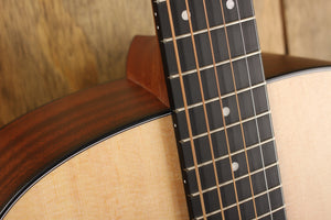 Martin D-10E Road-Serie