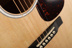 Martin D-10E Road-Serie