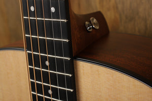 Martin D-10E Road-Serie