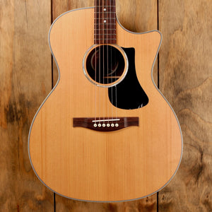 Eastman PCH2-GACE Natur