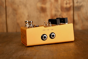 Walross MAKO ACS1 Amp &amp; Cab-Simulator