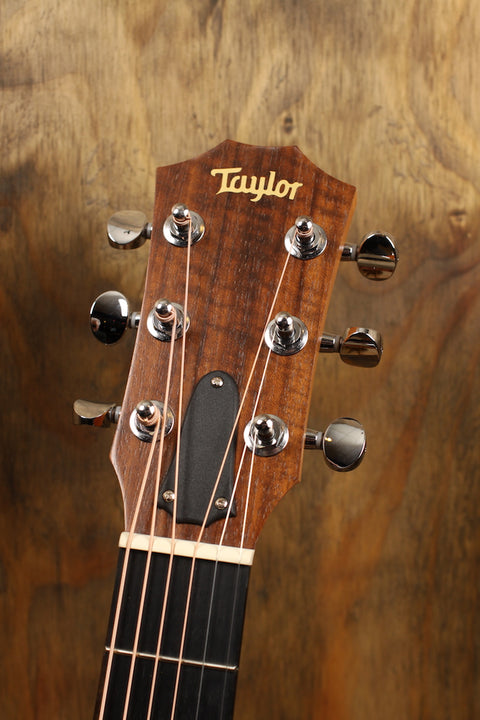 Taylor GS MINI Mahagoni