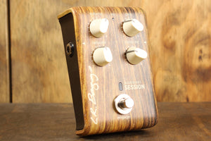 LR Baggs Align Series Session