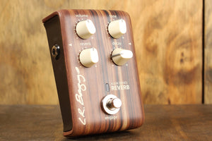 Reverb der LR Baggs Align-Serie