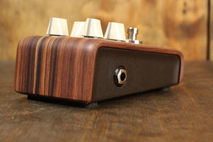 Reverb der LR Baggs Align-Serie