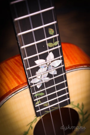 Leho Tenor-Ukulele Riegelahorn LHUT-ASMP-LMT