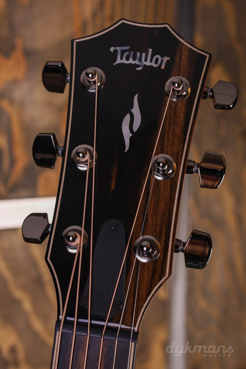 Taylor 814ce V-Class-Verstrebung