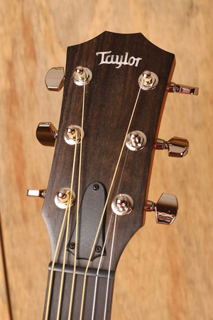 Taylor American Dream AD17e Natur