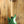 Vater Marcus Miller V7 2. Generation Ash Sherwood Green