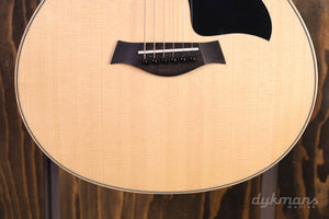 Taylor GS Mini-e Palisander