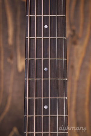 Taylor GS Mini-e Palisander