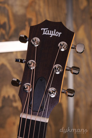 Taylor GS Mini-e Palisander