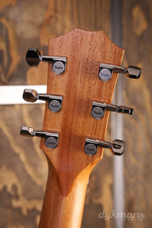 Taylor GS Mini-e Palisander