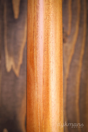 Taylor GS Mini-e Palisander