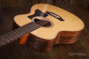 Taylor GS Mini-e Palisander