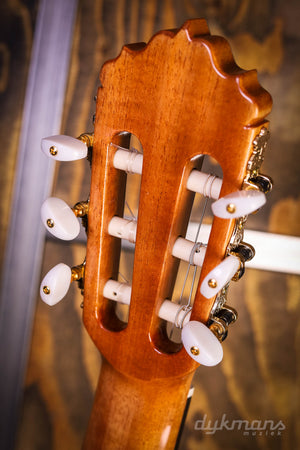 Alhambra 6 Weißes Ebenholz Exotisches Holz