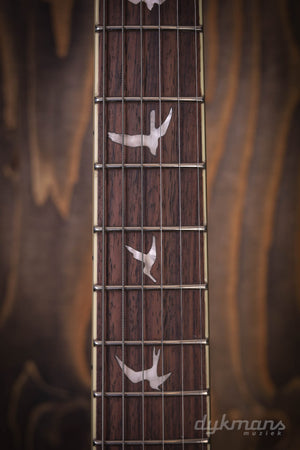 PRS SE Standard 24-08 Trans Blue GEBRAUCHT