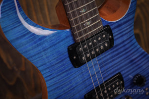 PRS SE Pauls Gitarre Bernstein